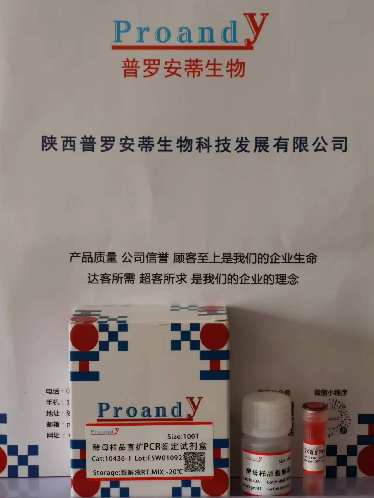 酵母样品直扩PCR试剂盒.jpg