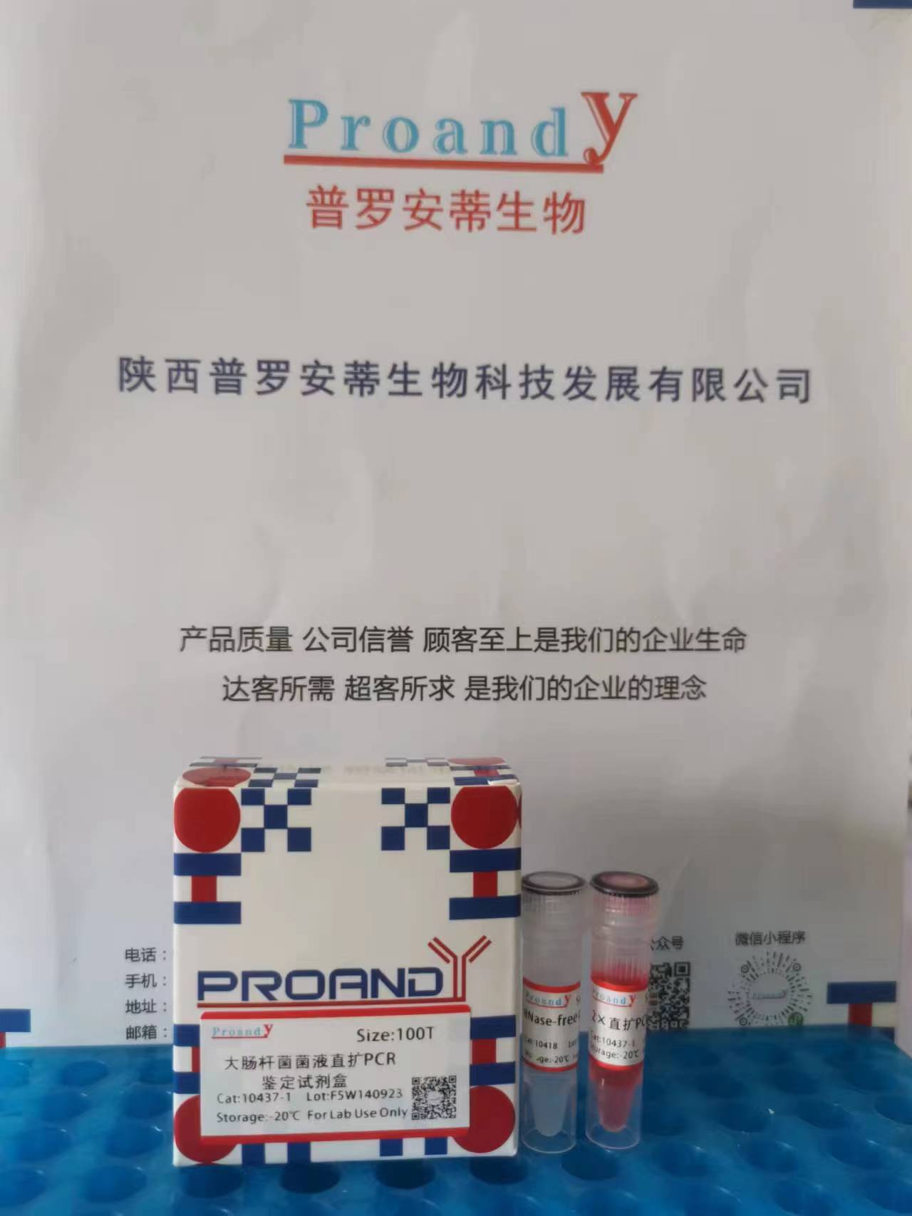 大肠杆菌直扩PCR.jpg