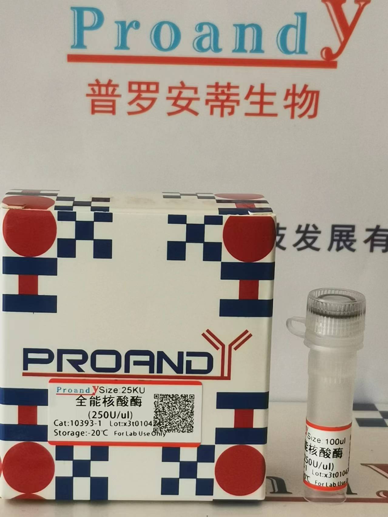 全能核酸酶.jpg