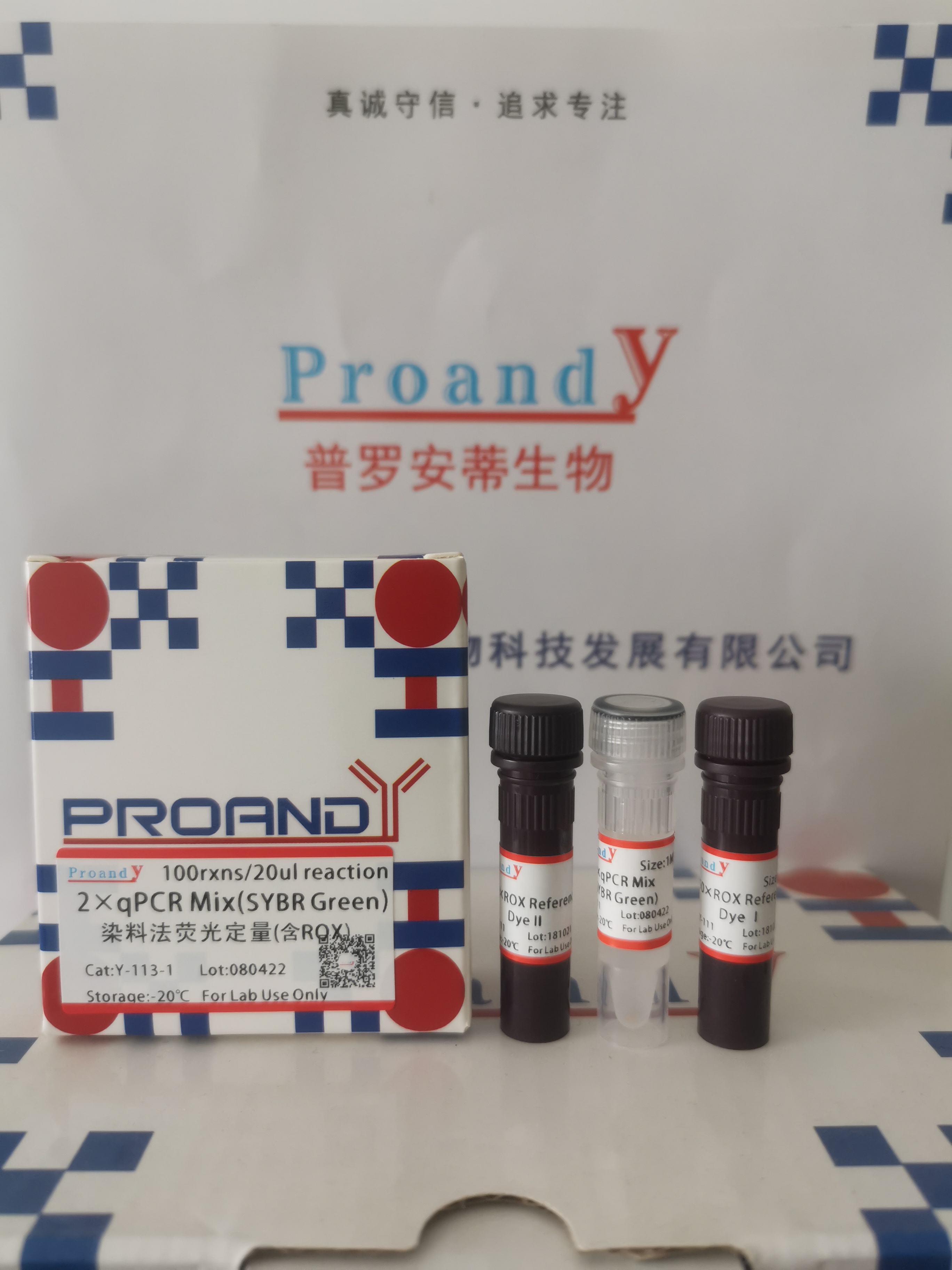荧光定量（含ROX）.jpg