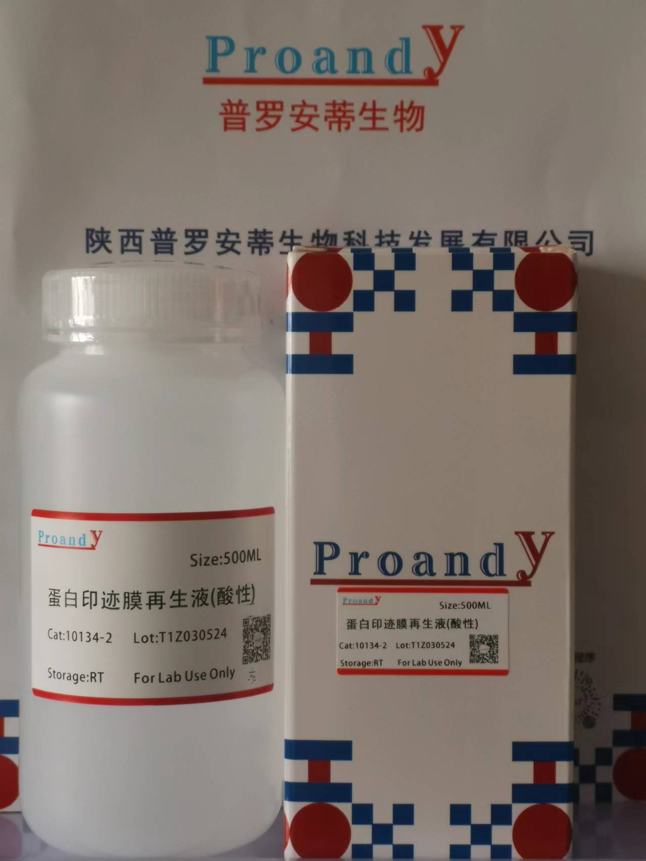 WB膜再生液.jpg