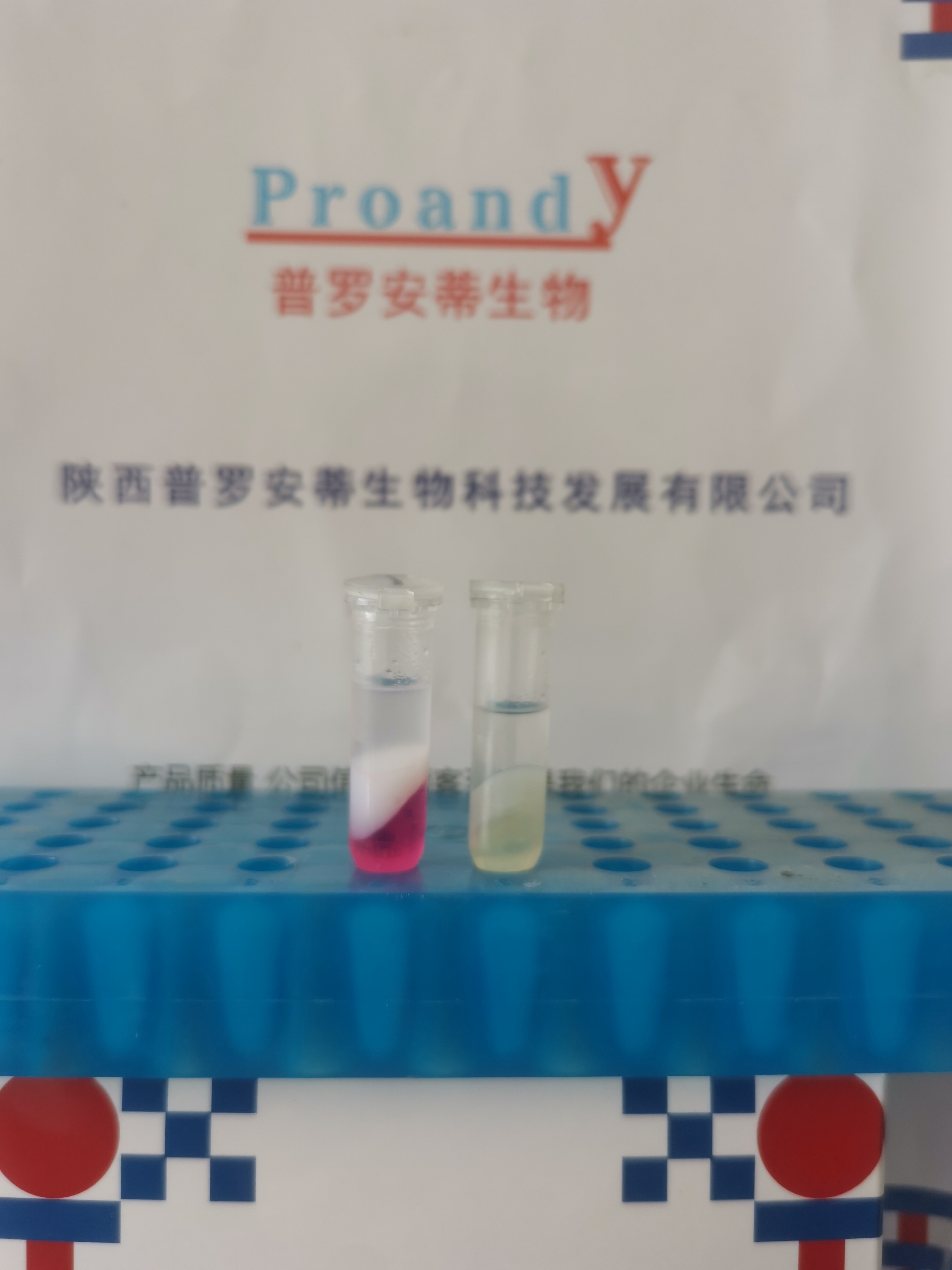 锁相胶--通用型.jpg