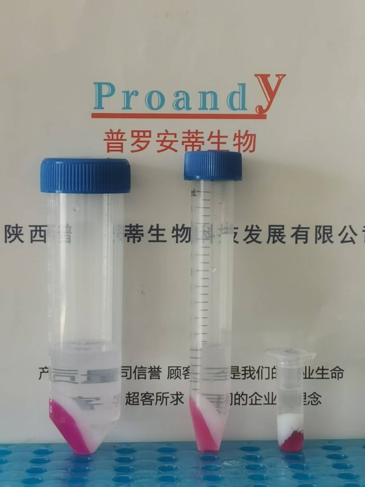 2ml-15ml-50ml.jpg
