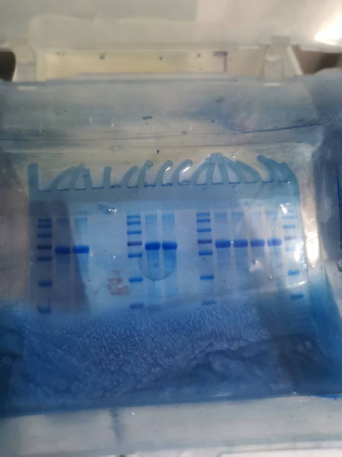 2098de9c3d78cbfb1fb9932af665d86d.jpg