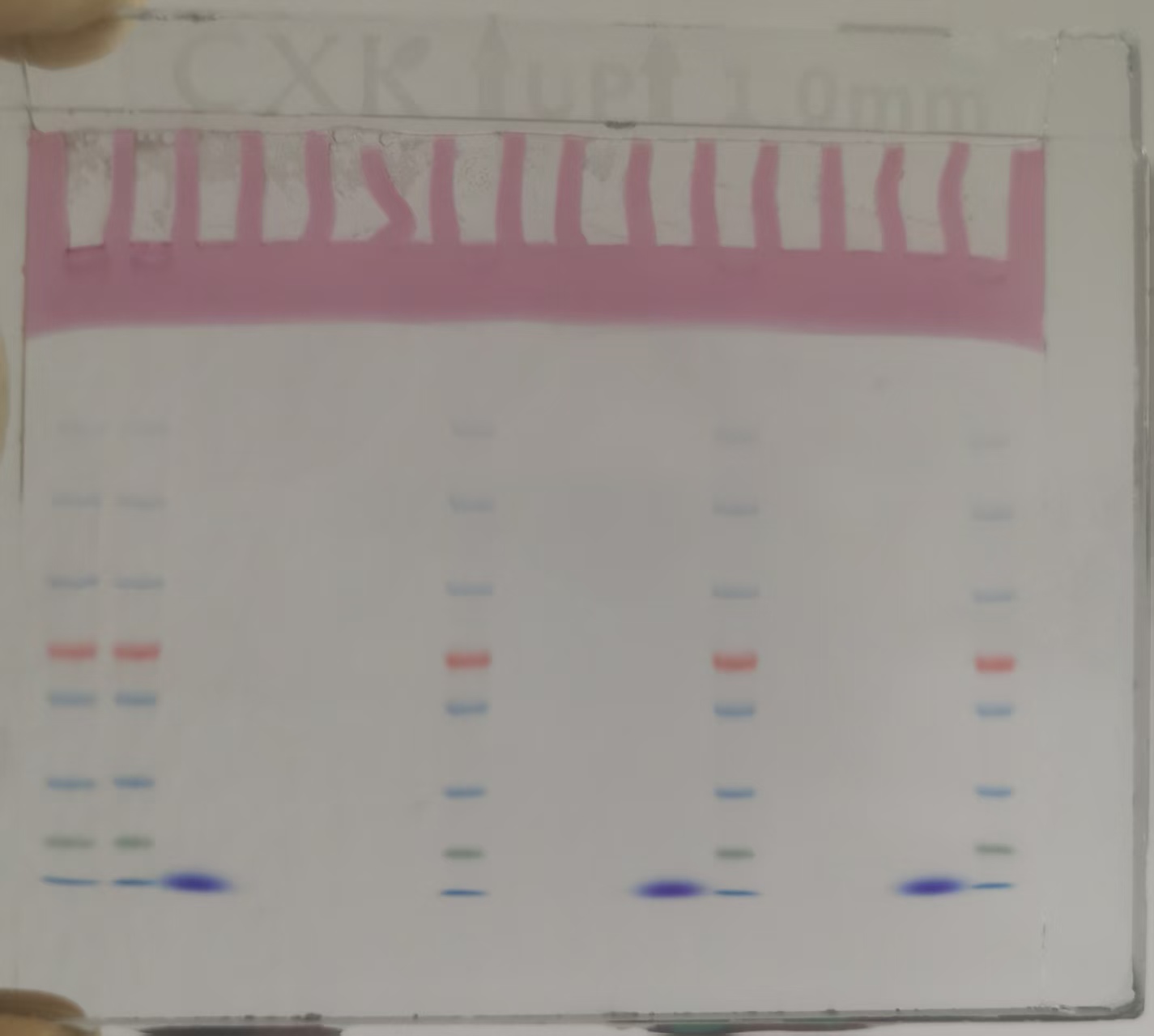 1778231150424157.jpg 7509bf5bf8534d4f50c0b521f766e30c.jpg