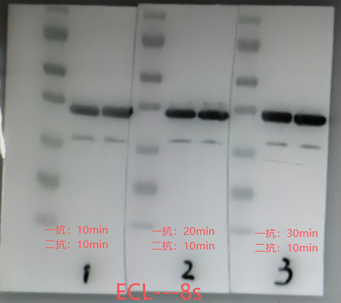 c6fe80515a38db95c807ec2f75fbf06e.png
