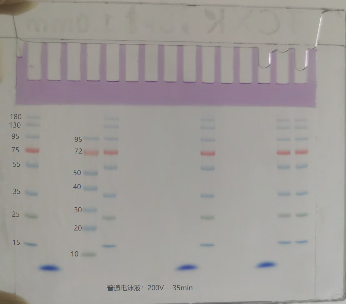 90ace34c-c920-444d-9378-5eb5e5c26308.png