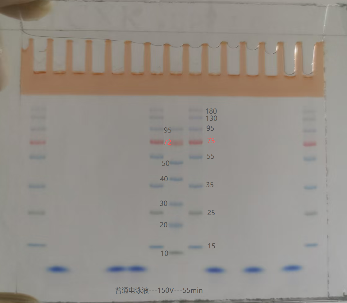 1786173400985254.png 80f7ada4-ad0b-4e2b-b3d5-adeb4563fe4f.png