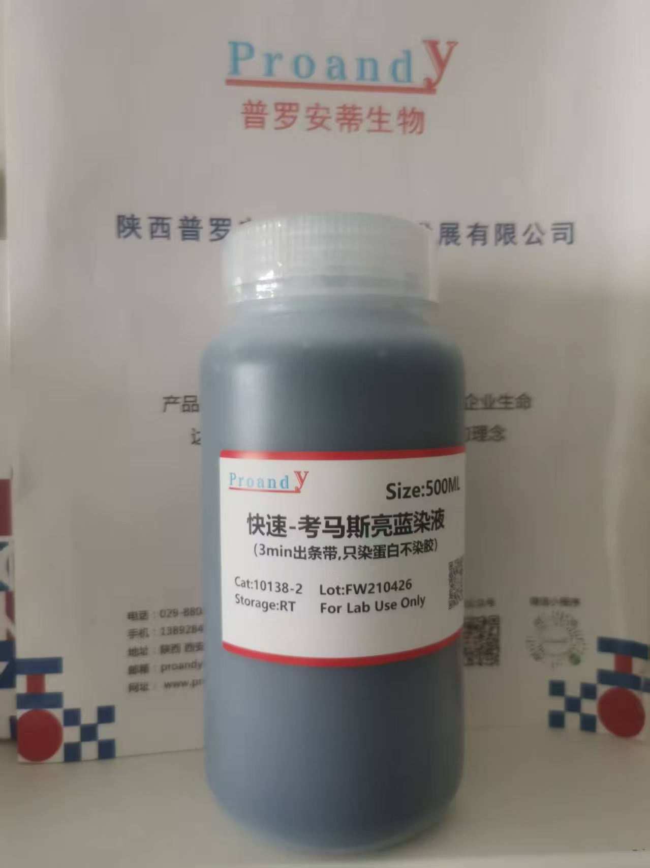 快速-考马斯亮蓝染液