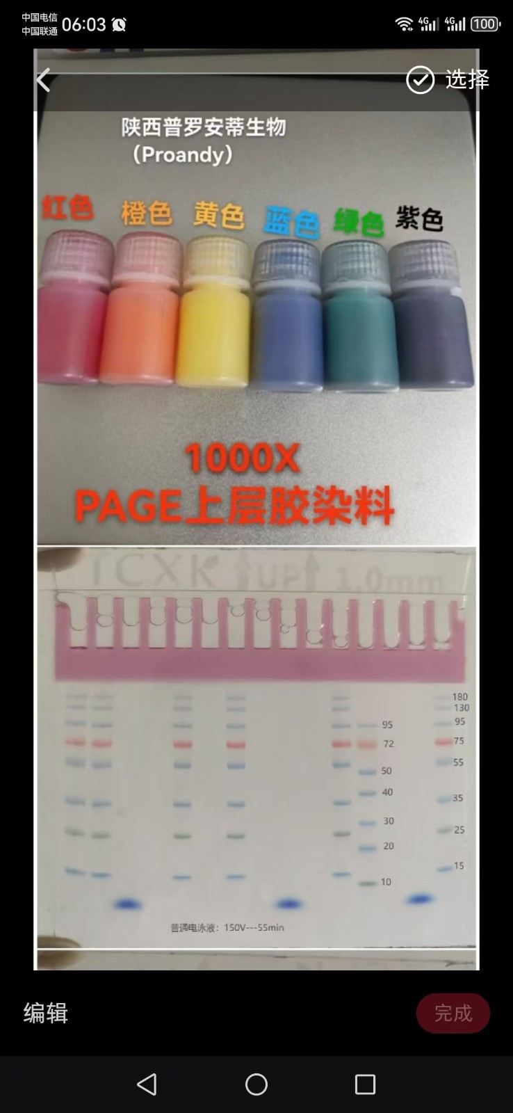 色彩标记-通用型PAGE凝胶制备试剂盒(10-250KD）