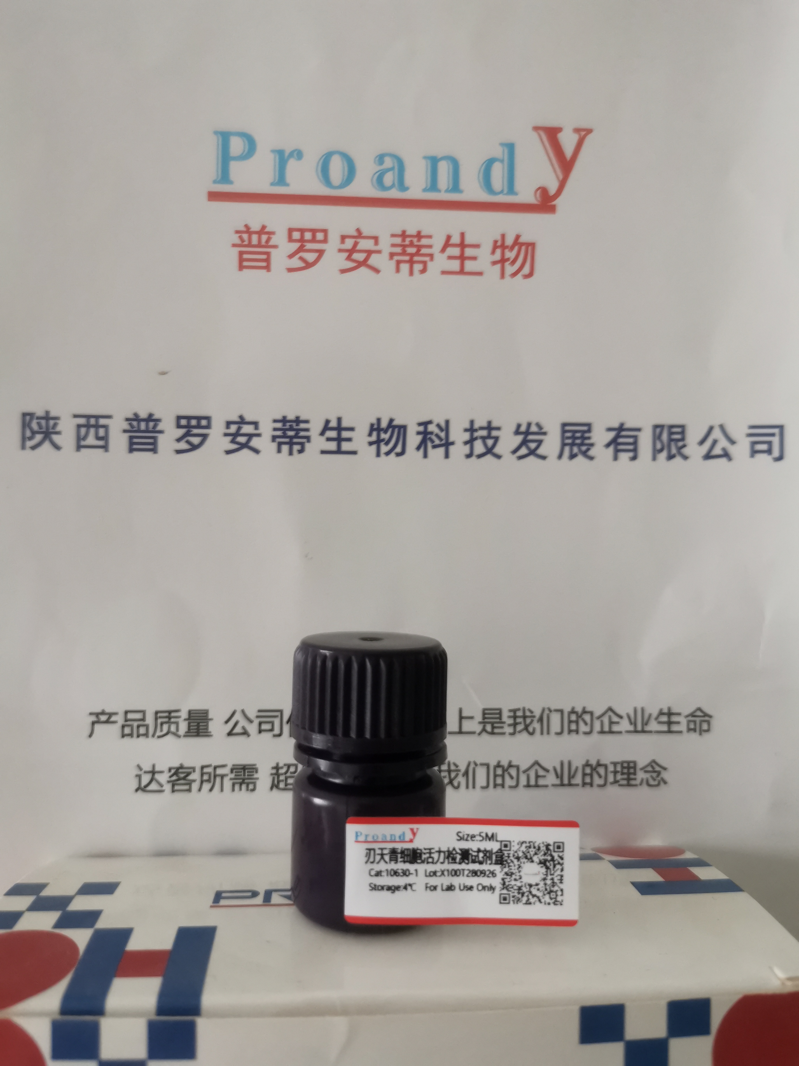 1790571743214270.jpg 82ef3f97061c2c8f03caaafbebcb3171.jpg